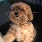 Profile Picture of Alex Hartman (@alexhartman21) on Instagram