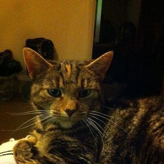 Profile Picture of Robert Maddison (@robert.maddison.31) on Facebook