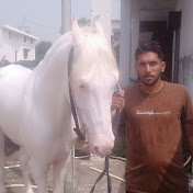 Sukhdeep Cheema - Youtube Profile Picture of Sukhdeep Cheema (@sukhdeepcheema53) on Youtube