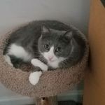 Profile Picture of Sumer Shendaj (@sumer333) on Instagram