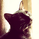 Profile Picture of Jimmy Vu (@haibang101) on Flickr
