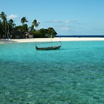 Profile Picture of Mohamed Khalifa (@Mohamed51723035) on Twitter