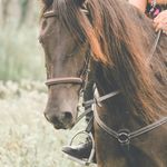 Profile Picture of Tamela Walker (@tamelawalker) on Instagram