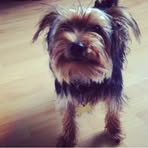 Profile Picture of Thomas Pawlikowski (@Thomas-Pawlikowski) on Facebook