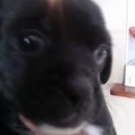 Profile Picture of Michael Shimmel (@shimmelmichael) on Instagram