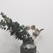 Profile Picture of MUI LEE (@muing) on Pinterest