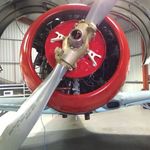 Profile Picture of Chris Digiacomo (@chris.acautos) on Instagram