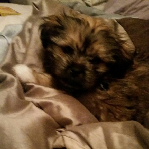 Profile Picture of Shawn Goetsch (@sweetcakes_1973) on Poshmark