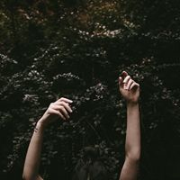 Profile Picture of Arielle Ryann (@arielleryann16531) on Pinterest