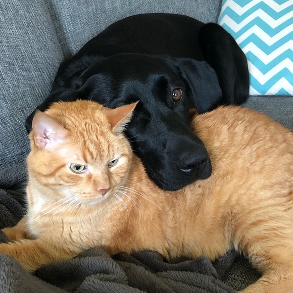 Profile Picture of Nate Poppler (@natepoppler) on Poshmark