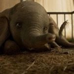 もりじゅん(・⊝・)ずんこ - Instagram Profile Picture of もりじゅん(・⊝・)ずんこ (@profjameson2) on Instagram