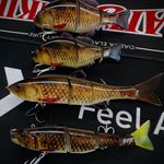 Profile Picture of Luke Carney (@outbackanglerdubbo) on Instagram