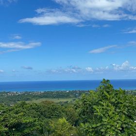 Profile Picture of Kimoy Haughton (@kimoyhaughton) on Pinterest