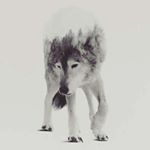 Profile Picture of Aaron Almaguer (@almagueraaron) on Instagram