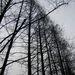 Profile Picture of Ray Chung (@rc00000) on Pinterest