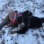 Profile Picture of Bánsági Liza (@bansliza4) on Instagram