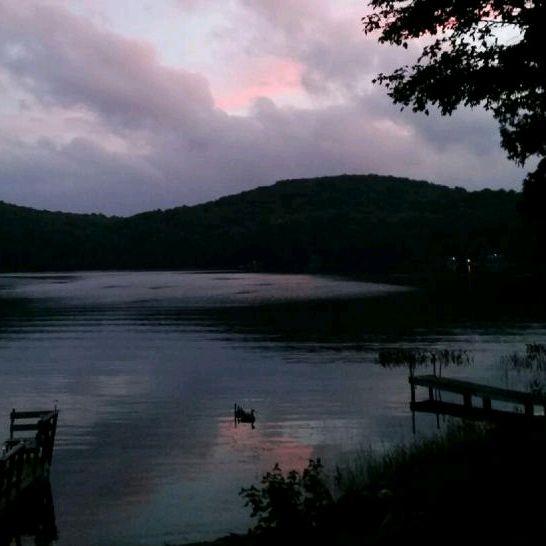 Profile Picture of Bonnie Reid (@bonniereid6) on Tiktok