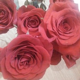 Profile Picture of kelly buzzell (@bloom2311) on Pinterest