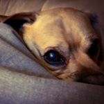 Profile Picture of Larry.Scherling (@larry.scherling) on Instagram