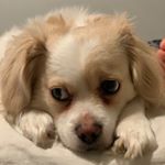 Profile Picture of erica luvs adam driver ⎊ ⧗ (@loqthe) on Instagram