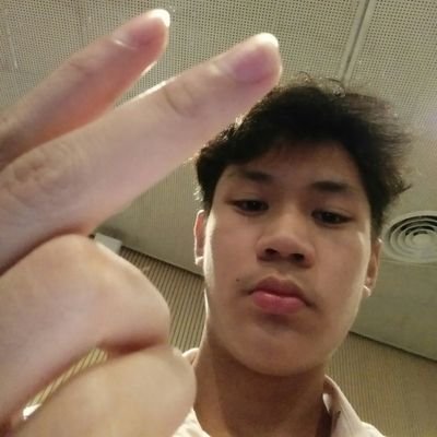 Profile Picture of Mendes (@LoveShaunMendes) on Twitter