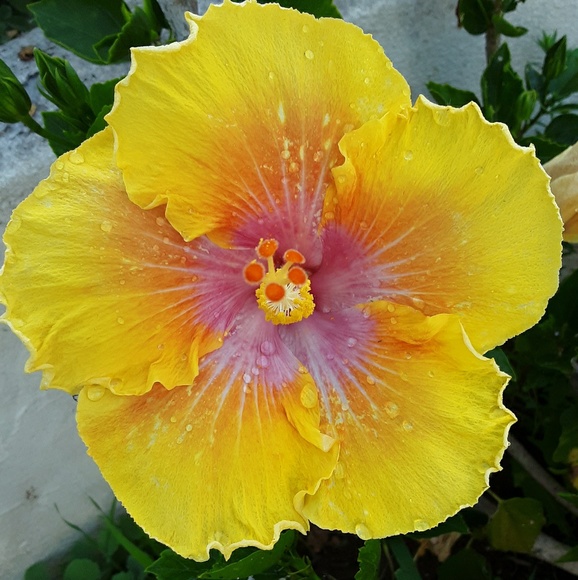 Profile Picture of Peyton Snavely (@psnavely22) on Poshmark