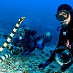 Profile Picture of Grant W. Graves (@grantwgraves) on Instagram