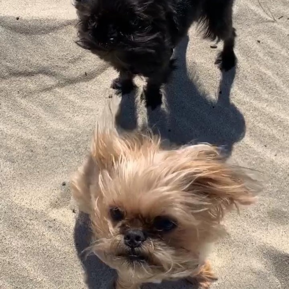 Jason Bitensky - Poshmark Profile Picture of Jason Bitensky (@intensky) on Poshmark