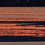 Profile Picture of Brian Feldman (@feldmanbrian) on Flickr