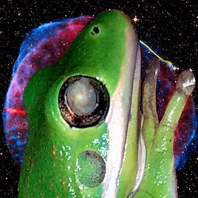 Profile Picture of Ben Rowe (@Roll_Man_Ray) on Twitter