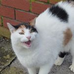 Profile Picture of Joseph Bobby Thum (@jay_bee_tee) on Instagram