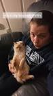 Profile Picture of   I swear he loves to be... (@mekenziecornett) on Tiktok