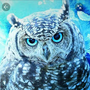 Profile Picture of Mohamed Khalit (@mohamedkhalit5934) on Youtube