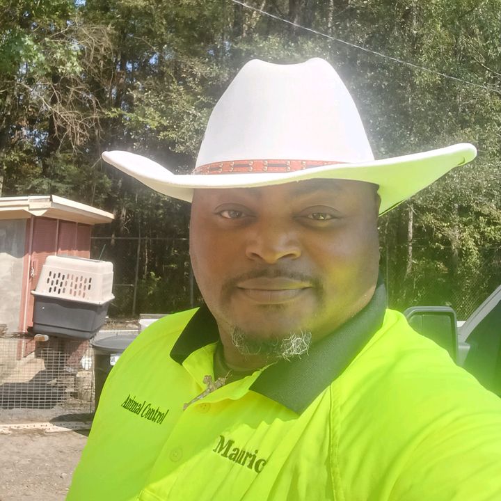 Profile Picture of Maurice Lemonhead168 (@mauricelemonhead50) on Tiktok