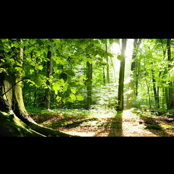 Profile Picture of Christina Heron (@isale15) on Poshmark