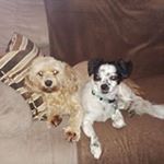 Profile Picture of Leonard Laporte (@leonardlaporte) on Instagram