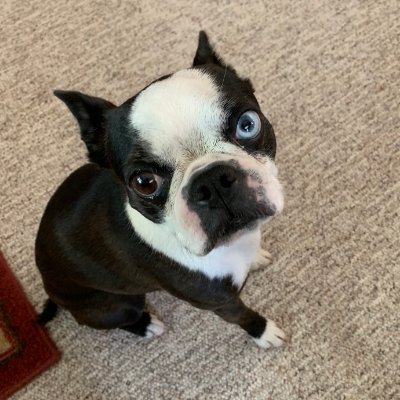 Profile Picture of Eric Hutton (@EricHutton3) on Twitter