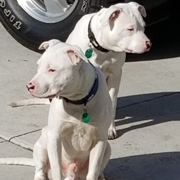 Profile Picture of Charles Browne (@cbrowne439) on Poshmark