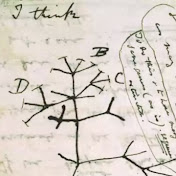 Profile Picture of Mark Prokosch (@embracewhatevermaycome) on Youtube