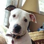 Profile Picture of Randy Scurlock (@randy.scurlock.7) on Instagram