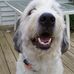 Profile Picture of Jeff Garber (@jeff.garber.526) on Facebook