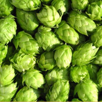 Profile Photo of Kent Brewers (@KentGreenHops) on Twitter