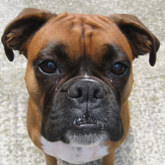 Profile Picture of Kim Pihera (@kimosby) on Poshmark