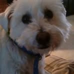 Profile Picture of Dixie Darr (@dixie.darr.12) on Facebook