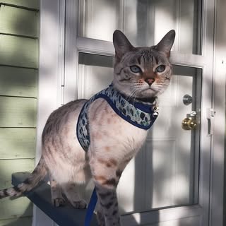 Profile Picture of Michael Michelucci (@michaelmichelucci) on Instagram