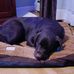 Profile Picture of Charles Peter (@charles.peter.3154) on Facebook