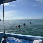 Profile Picture of Clarice Diggs Stovall (@clarice.diggsstovall) on Facebook