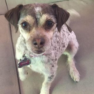 Profile Picture of Sam Dow (@Sam-Dow) on Facebook