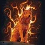 Profile Picture of Marty Thomas (@marty.thomas.520357) on Instagram