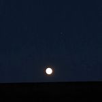 Profile Picture of clare (@clare.danielleee) on Instagram